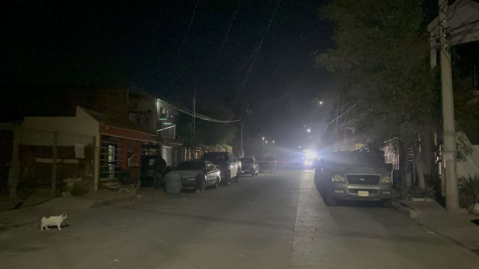 Matan a balazos a dos en El Porvenir 