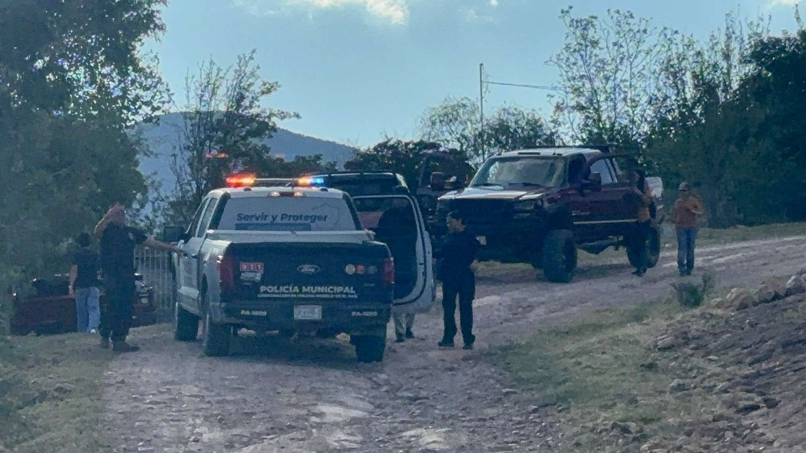 Muere adulto mayor tras ataque de abejas en Sierra Azul