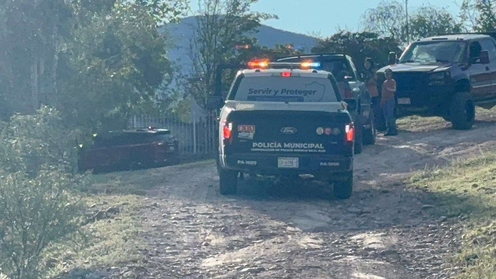 Muere adulto mayor tras ataque de abejas en Sierra Azul