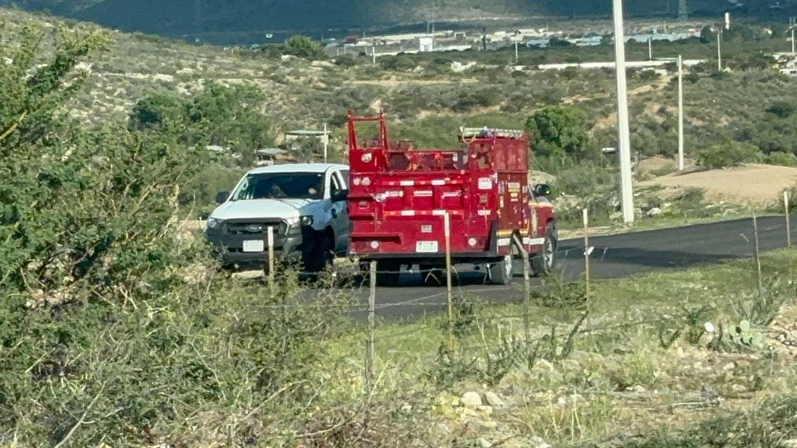 Muere adulto mayor tras ataque de abejas en Sierra Azul