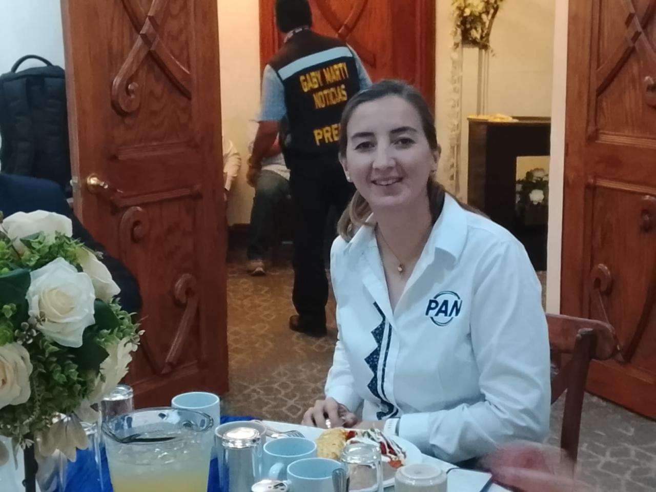 Busca PAN sumar a inconformes del PT y Partido Verde rumbo al 2027