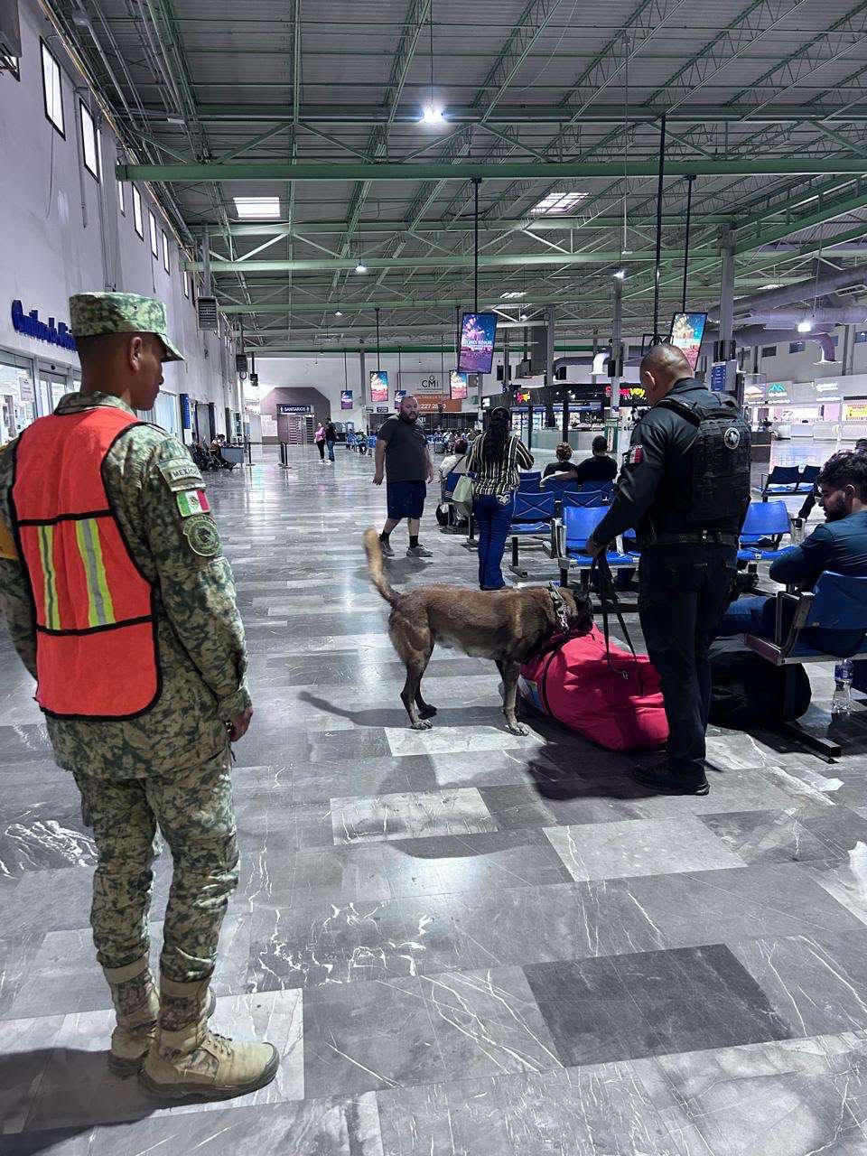Despliegan operativo con perros K-9 en la Central Camionera