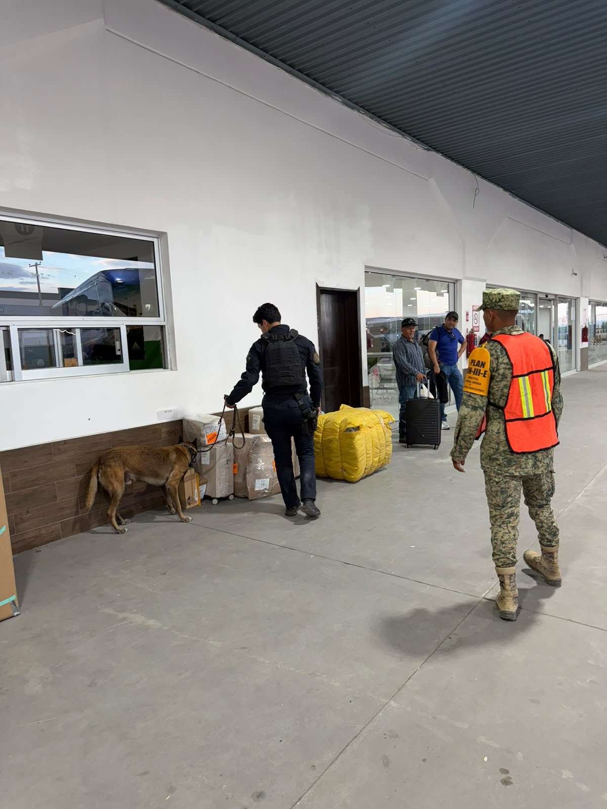 Despliegan operativo con perros K-9 en la Central Camionera