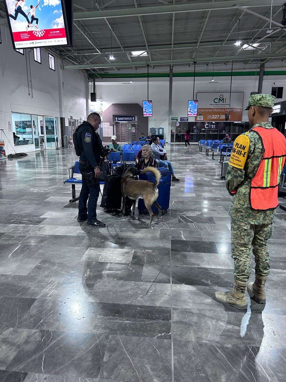 Despliegan operativo con perros K-9 en la Central Camionera