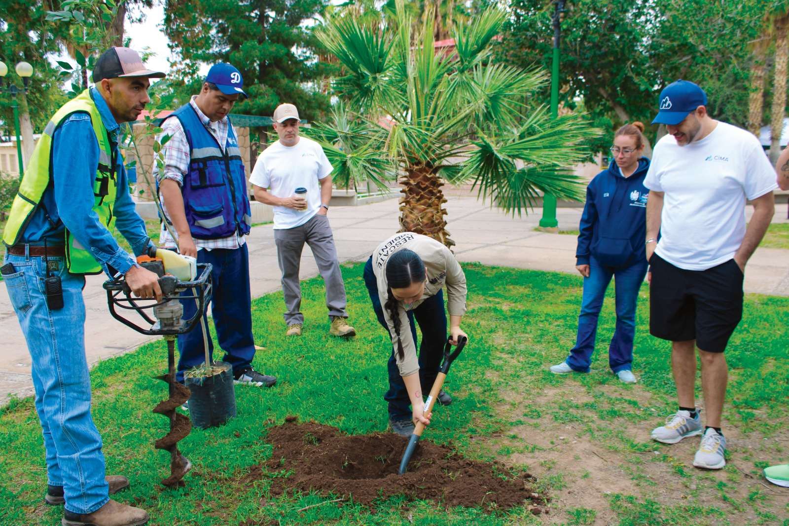 Refuerzan áreas verdes del Parque Lerdo con 108 nuevos árboles