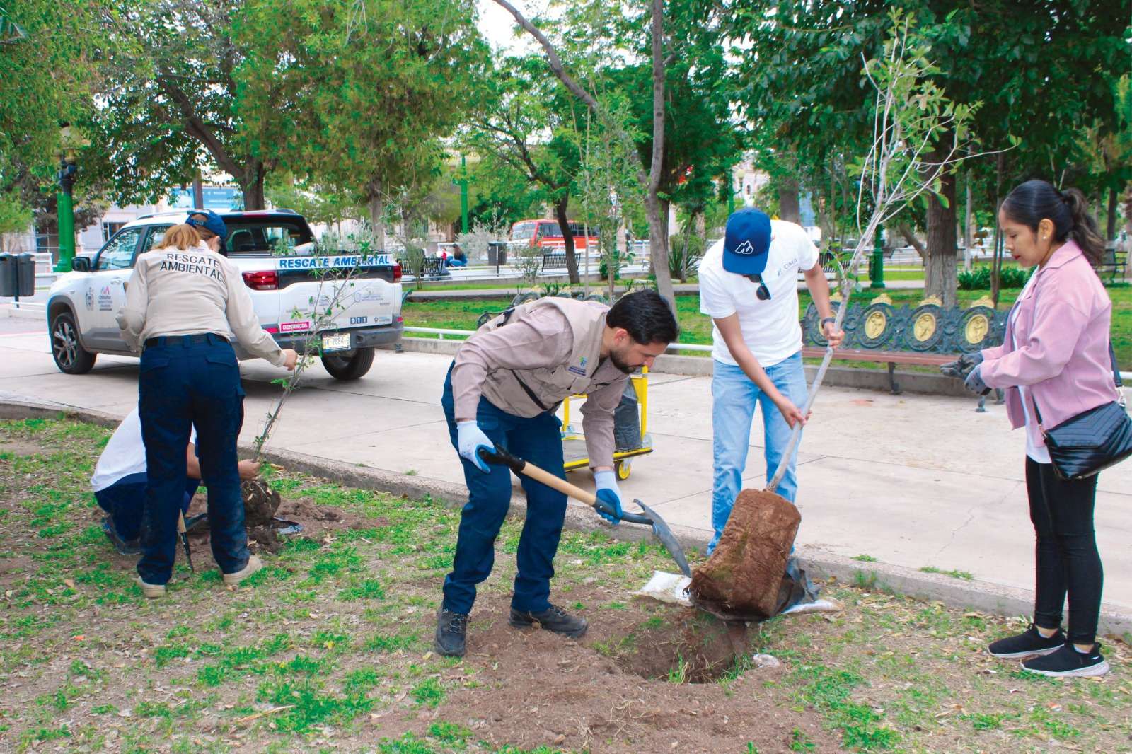 Refuerzan áreas verdes del Parque Lerdo con 108 nuevos árboles