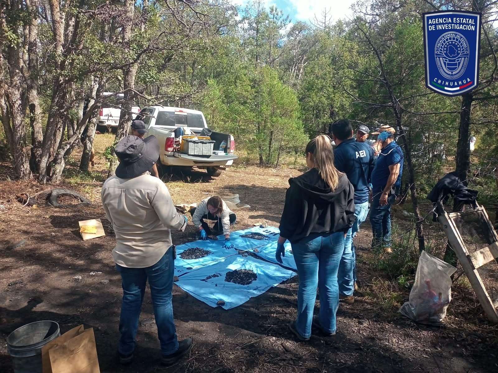 Localizan restos óseos calcinados y casquillos en Madera
