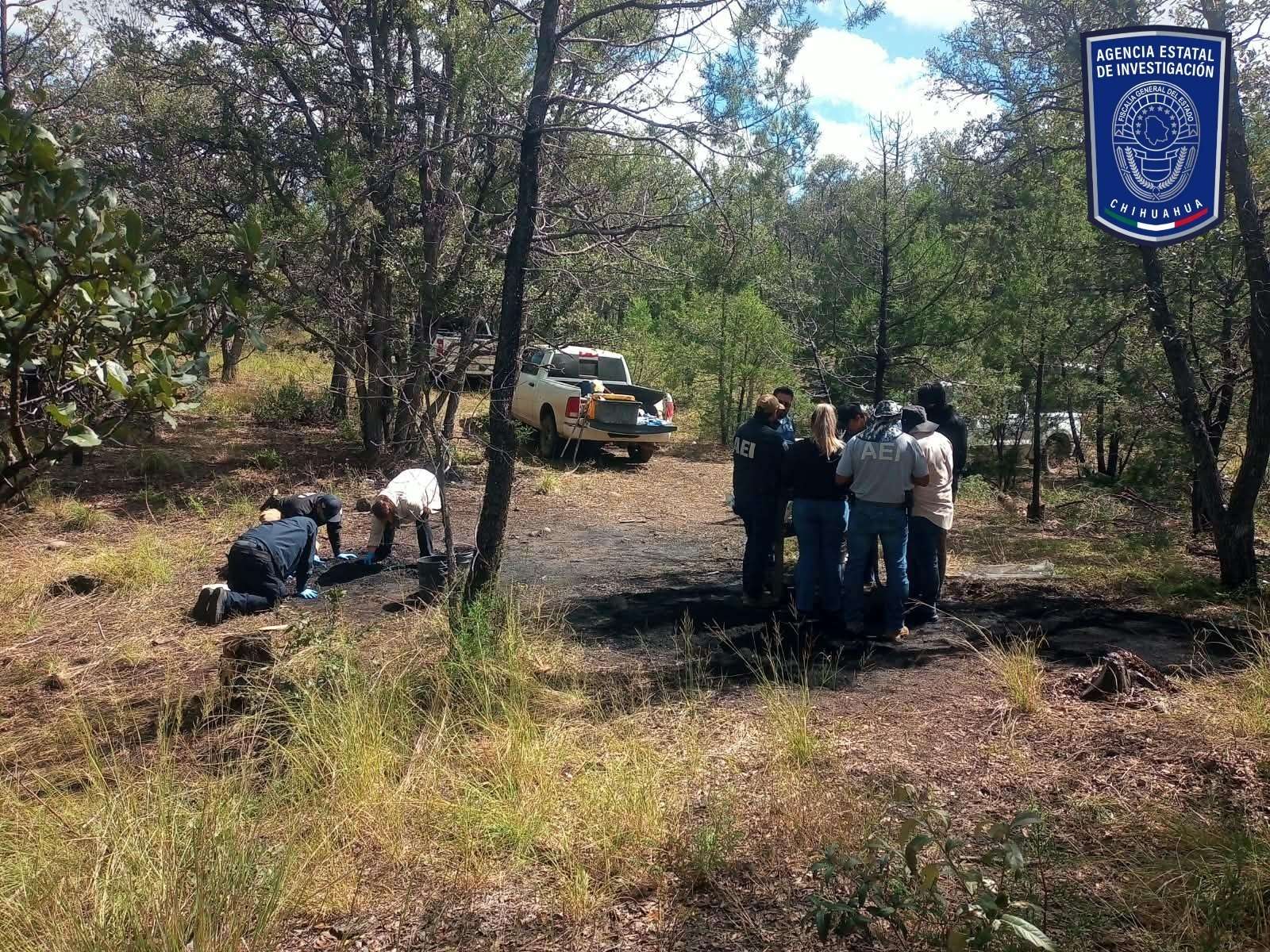 Localizan restos óseos calcinados y casquillos en Madera