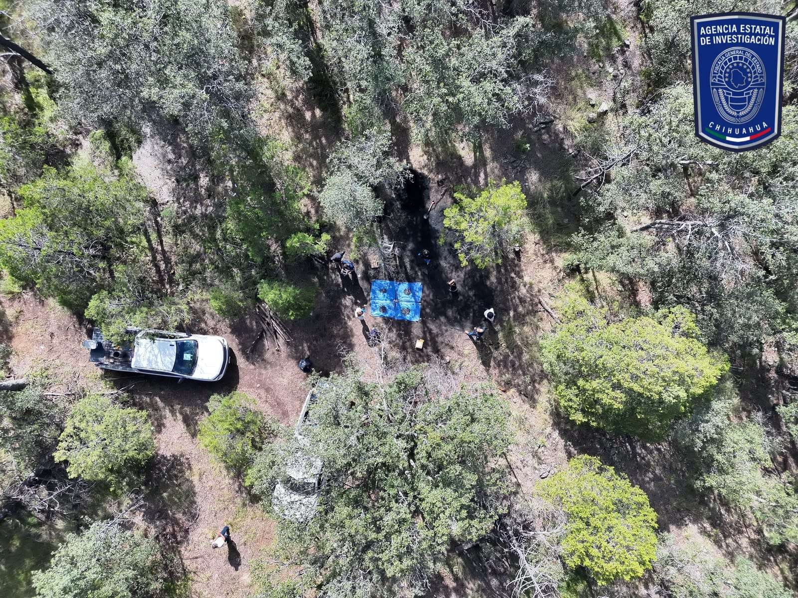 Localizan restos óseos calcinados y casquillos en Madera
