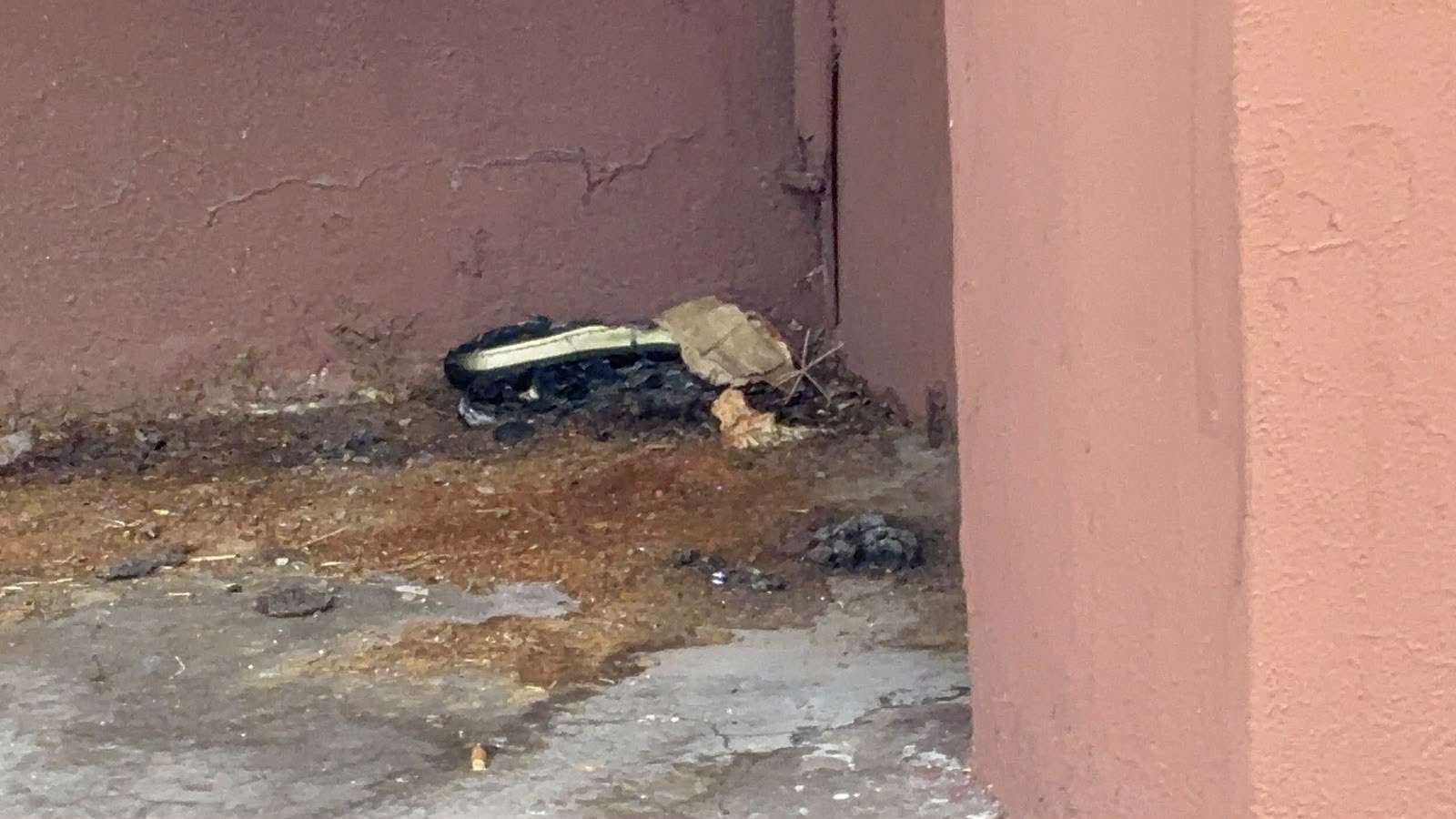 Denuncian mal estado de baños públicos en El Palomar