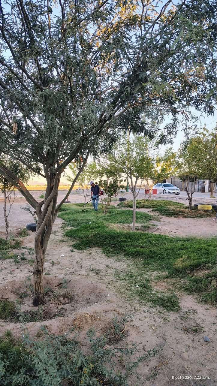 Exigen vecinos de Las Haciendas atención a sus parques 