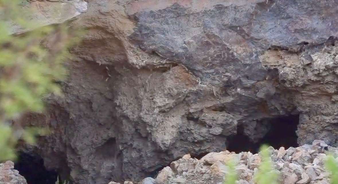Promueven conservación de murciélagos con festival Bat Weekend