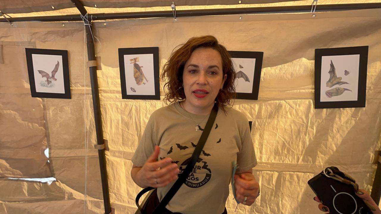 Celebra Uach el Bat Weekend por la conservación ambiental