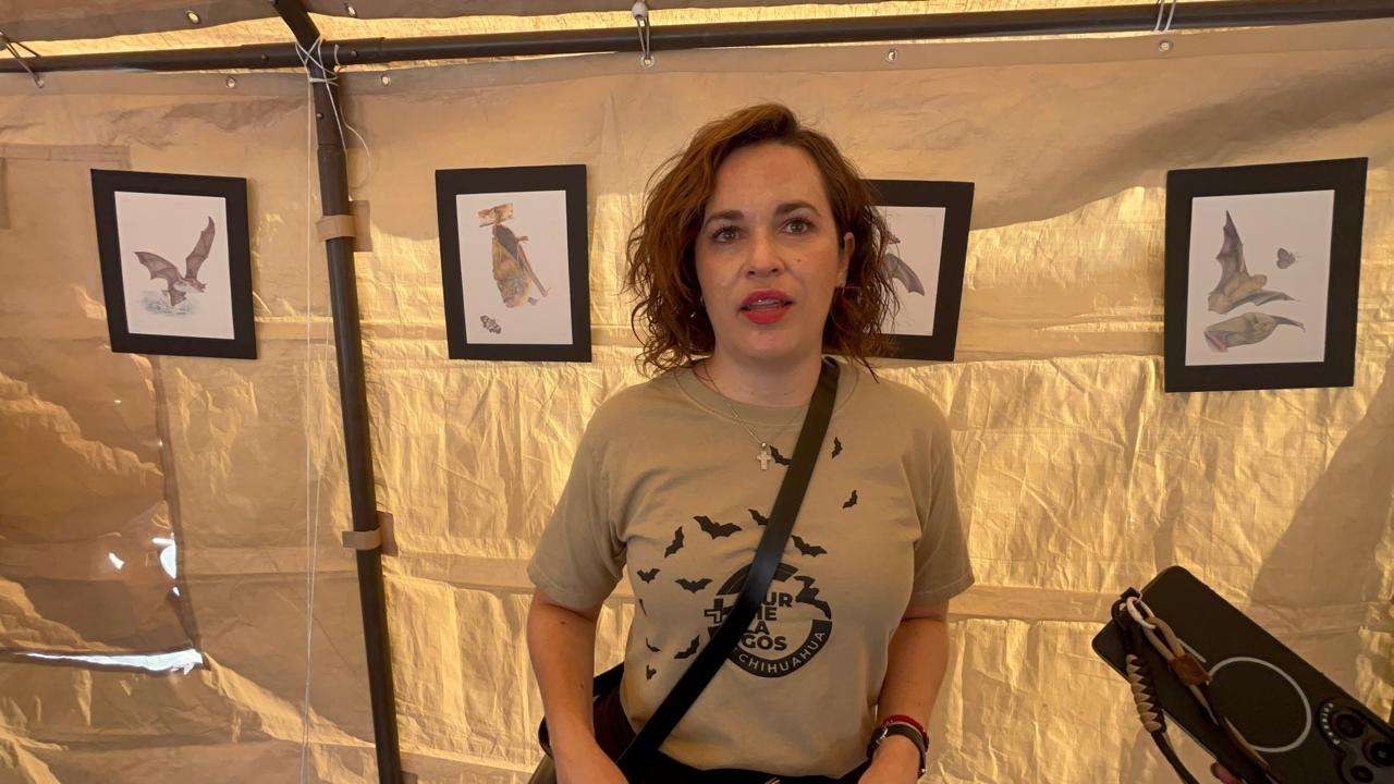 Celebra Uach el Bat Weekend por la conservación ambiental