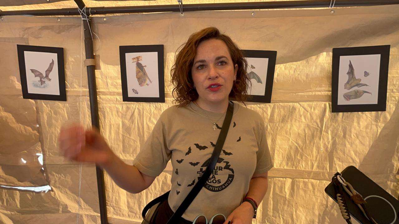 Celebra Uach el Bat Weekend por la conservación ambiental