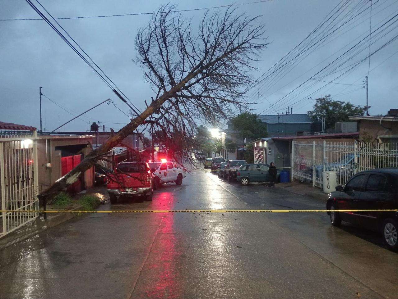 Provocan intensas lluvias cuantiosos daños en la ciudad 