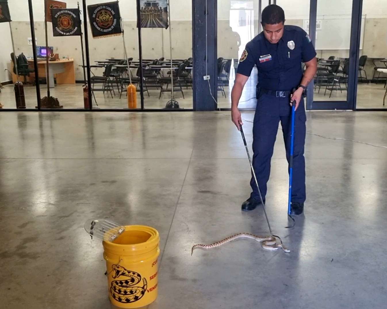 Llama bomberos a prevenir la presencia de animales ponzoñosos