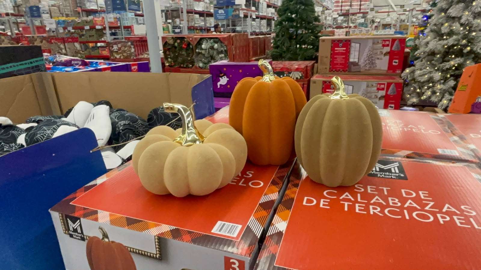 Decoran casas y negocios por Halloween y Día de Muertos