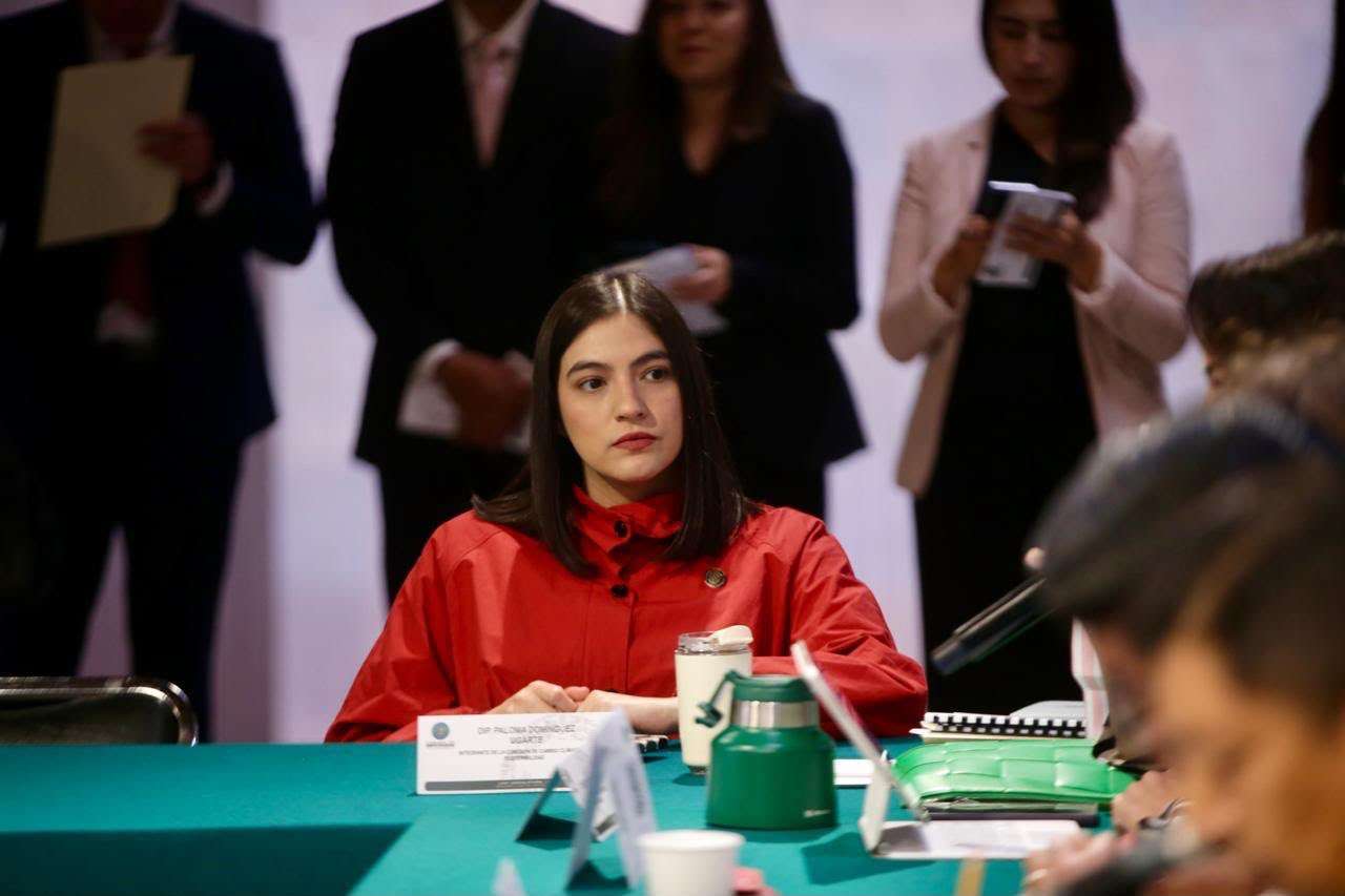Propone Diputada Paloma reforma para la salud mental materna