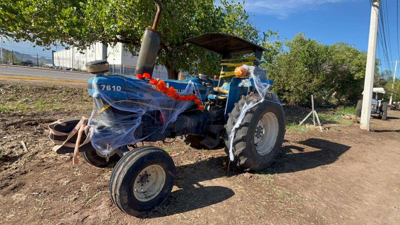 Consolidan campos de cempasúchil como atractivo turístico