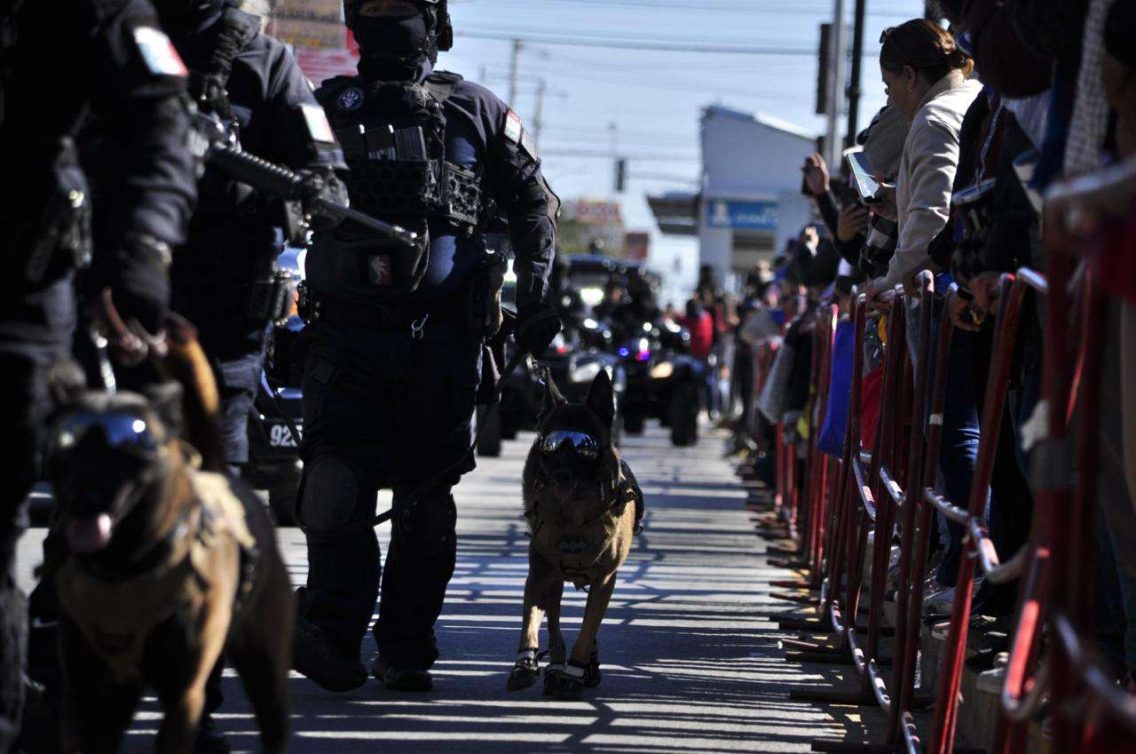 Destaca grupo K9 de la Policía Municipal con importantes golpes al crimen 