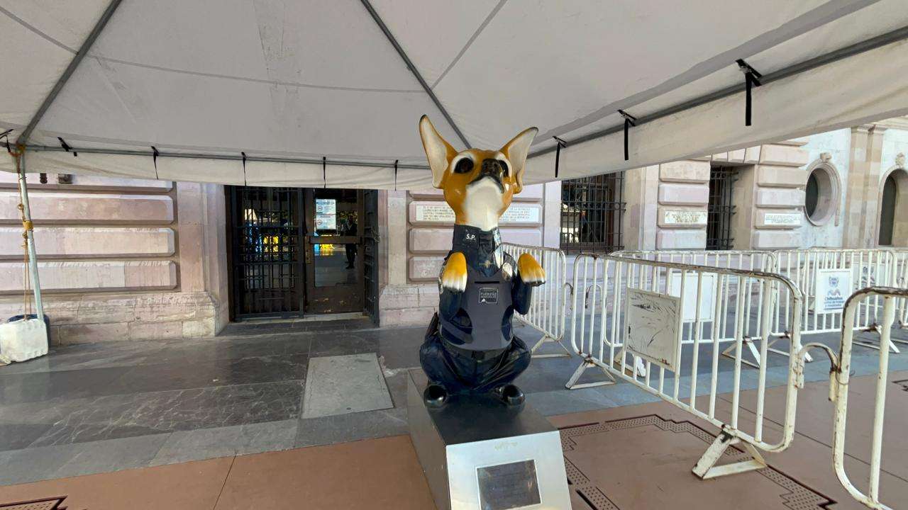 Resguarda perro policía entrada a la Presidencia Municipal