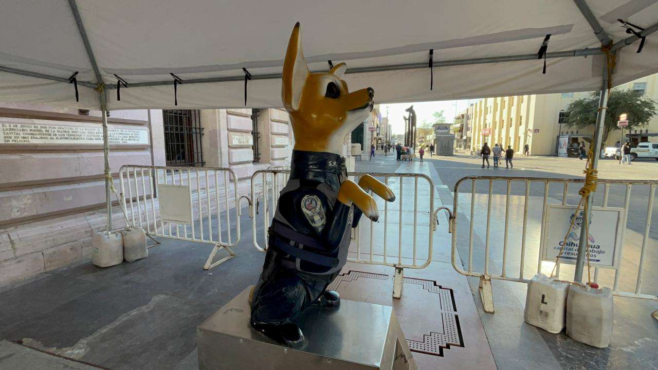 Resguarda perro policía entrada a la Presidencia Municipal