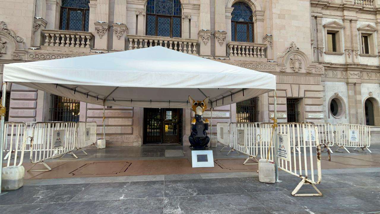 Resguarda perro policía entrada a la Presidencia Municipal