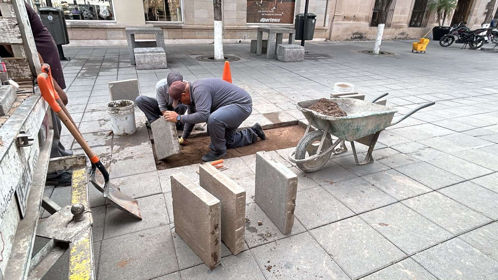 Anuncian mantenimiento en 7 puntos viales; repararán jardinera