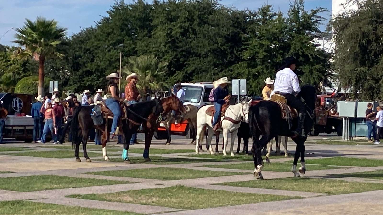 Comienzan a llegar los jinetes de la Cabalgata Expogan 2026