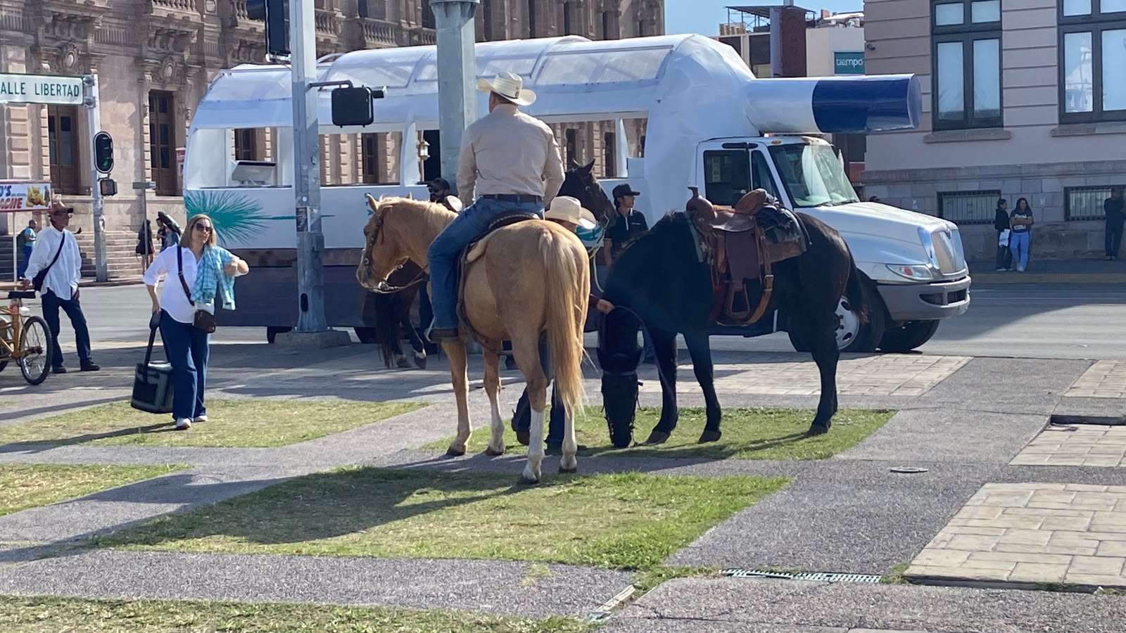 Comienzan a llegar los jinetes de la Cabalgata Expogan 2026