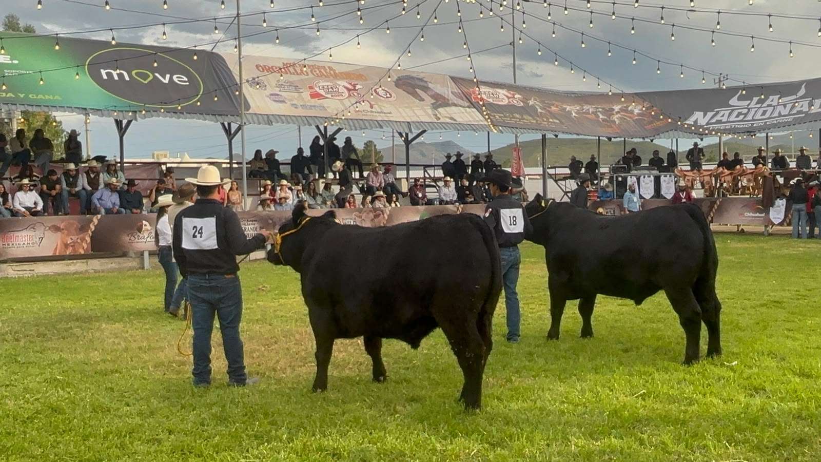 Llevan a cabo Anillo de Juzgamiento en Expogan 2026