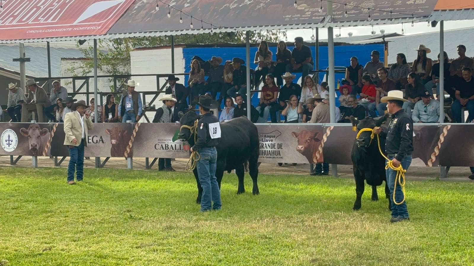 Llevan a cabo Anillo de Juzgamiento en Expogan 2026