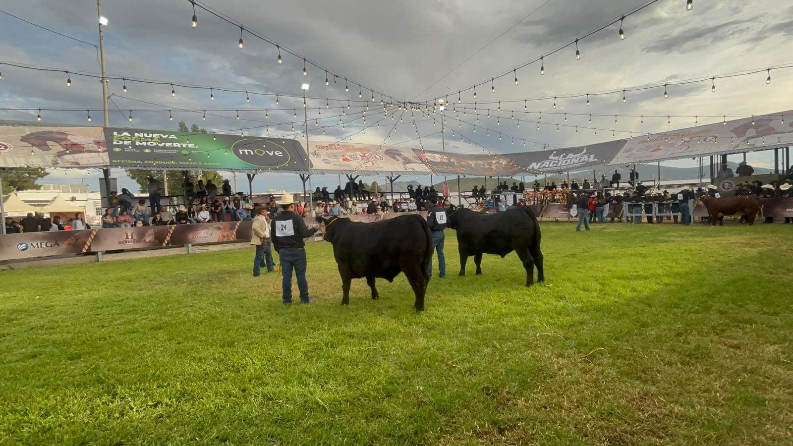 Llevan a cabo Anillo de Juzgamiento en Expogan 2026