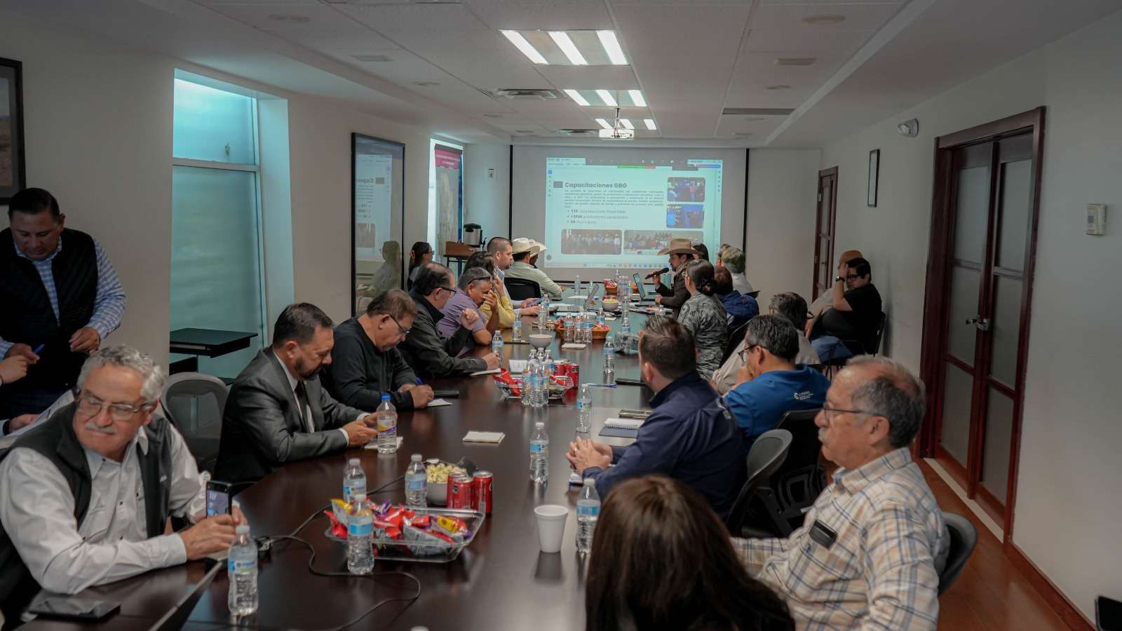 Refuerzan acciones contra el gusano barrenador en Chihuahua