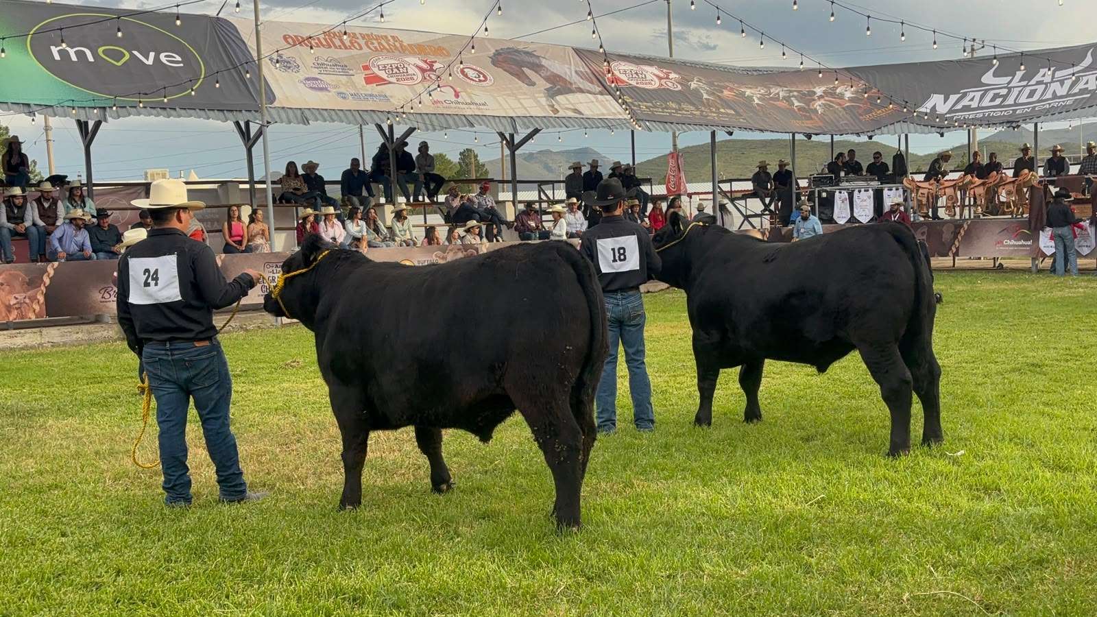 Llevan a cabo Anillo de Juzgamiento en Expogan 2026