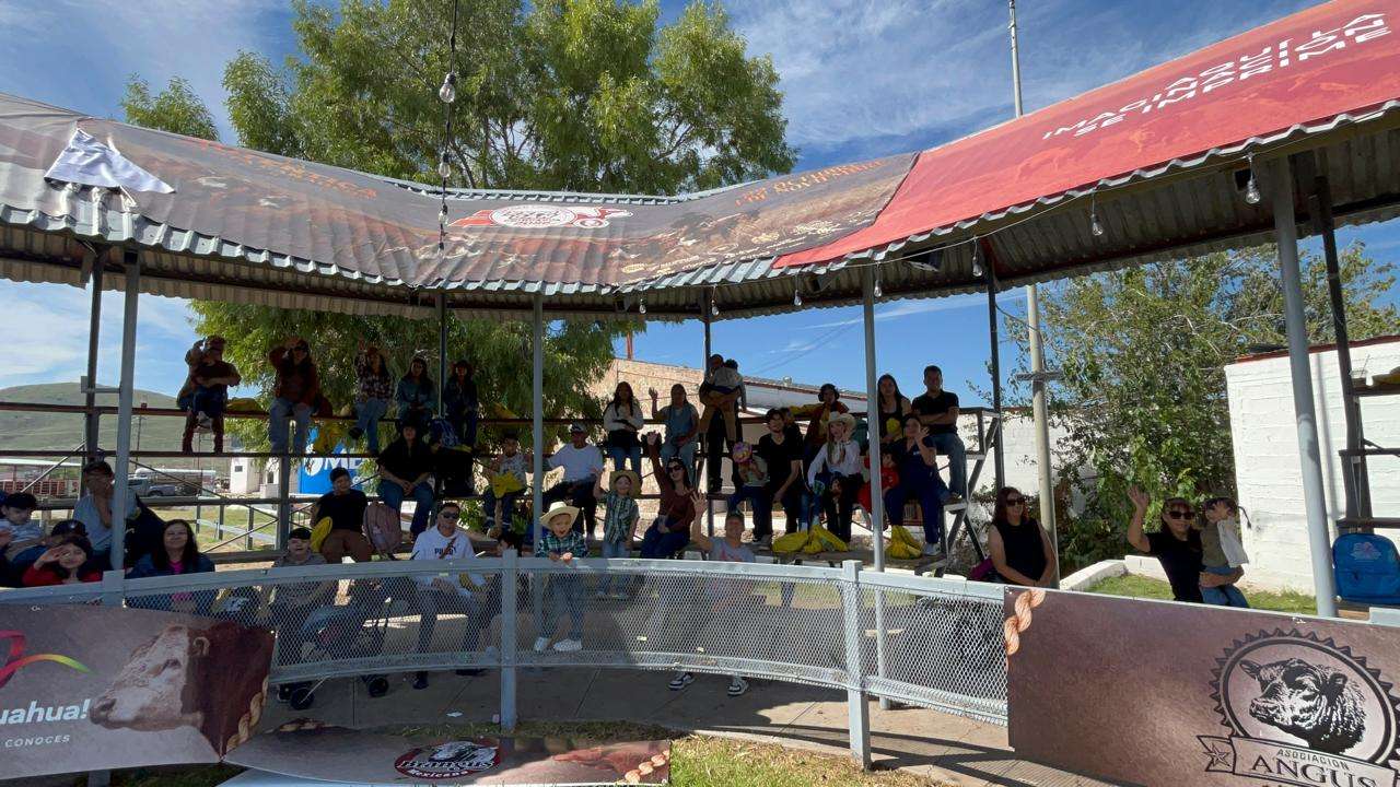 Organizan primera carrera de cerditos en Expogan