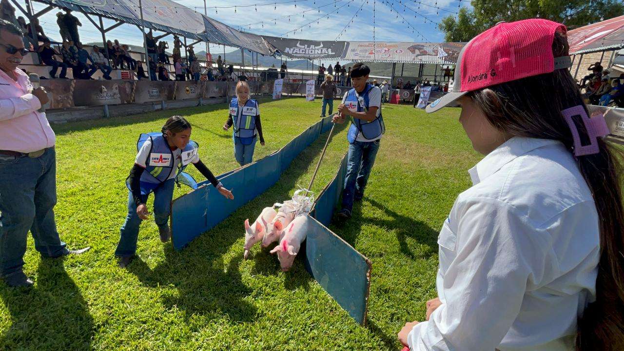 Organizan primera carrera de cerditos en Expogan