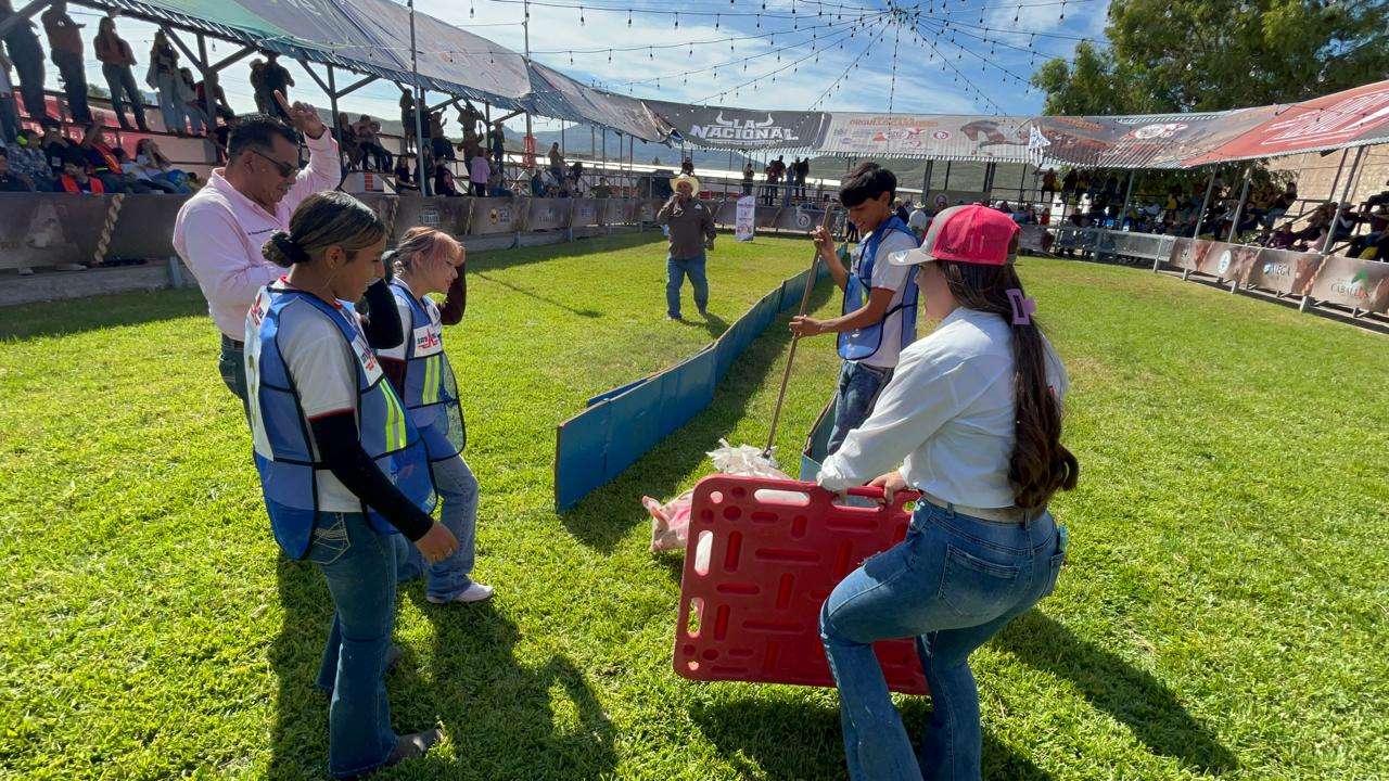 Organizan primera carrera de cerditos en Expogan