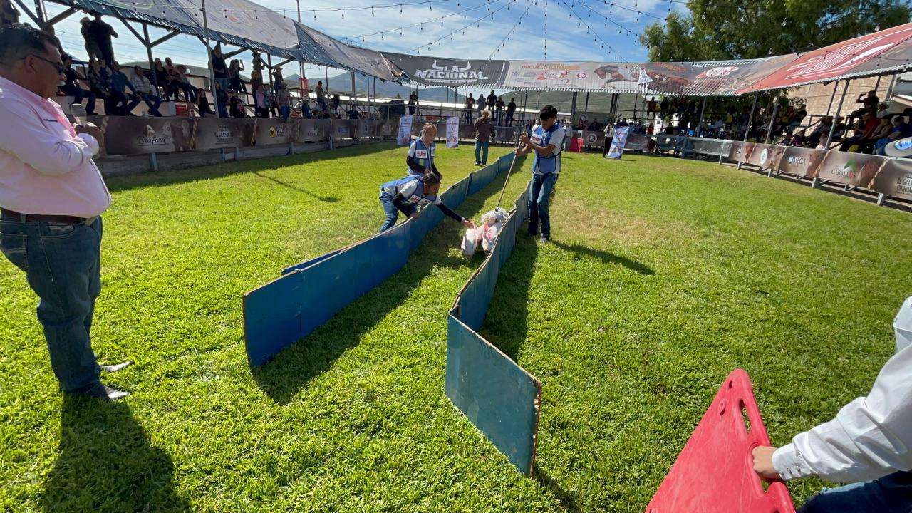 Organizan primera carrera de cerditos en Expogan