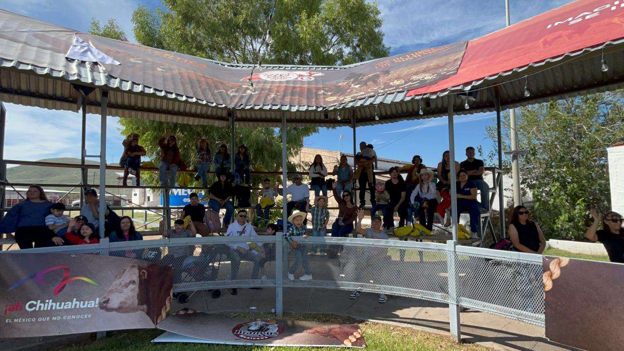 Organizan primera carrera de cerditos en Expogan