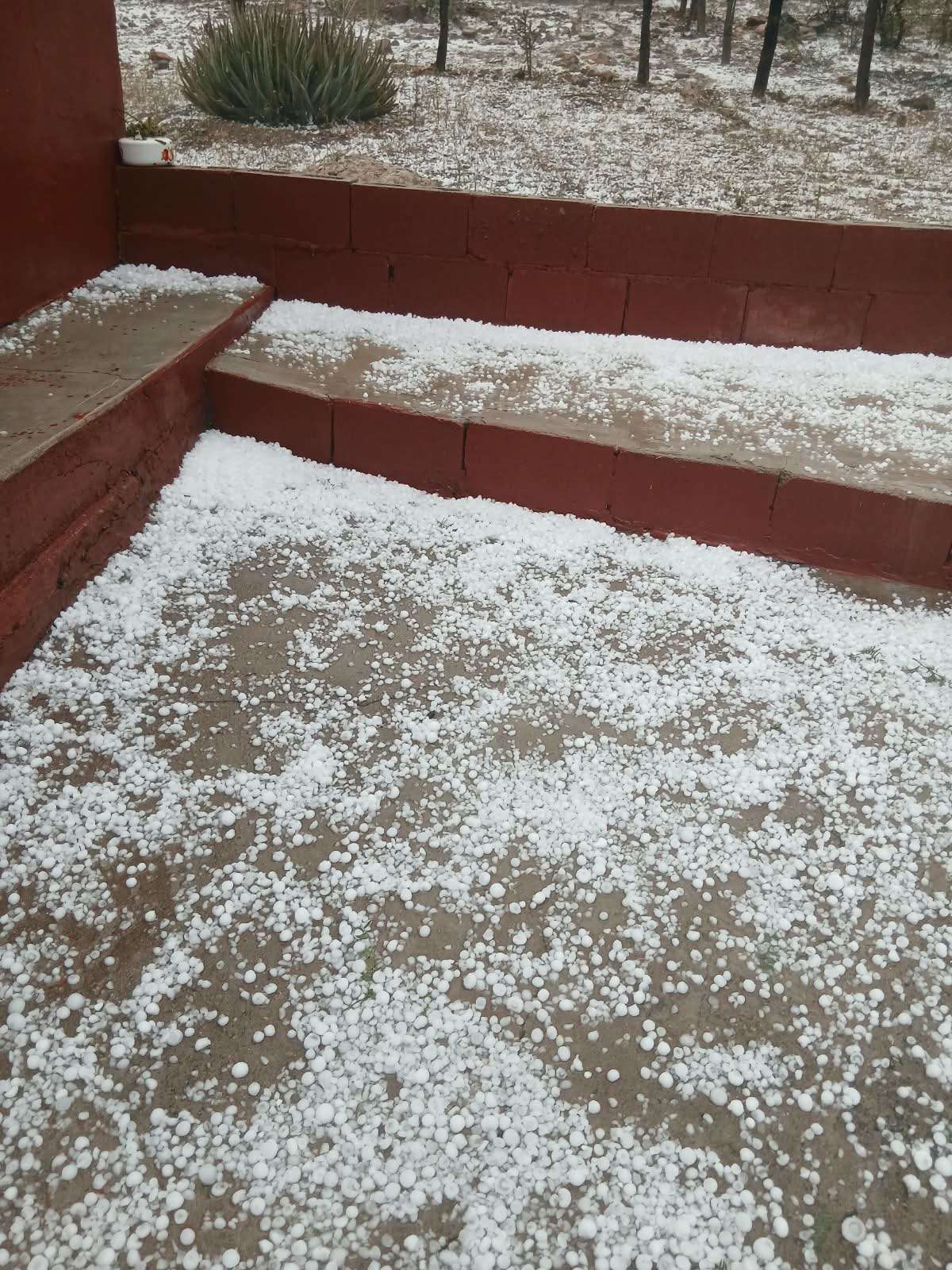 Prevé Cepc lluvias y vientos fuertes durante este sábado en la entidad