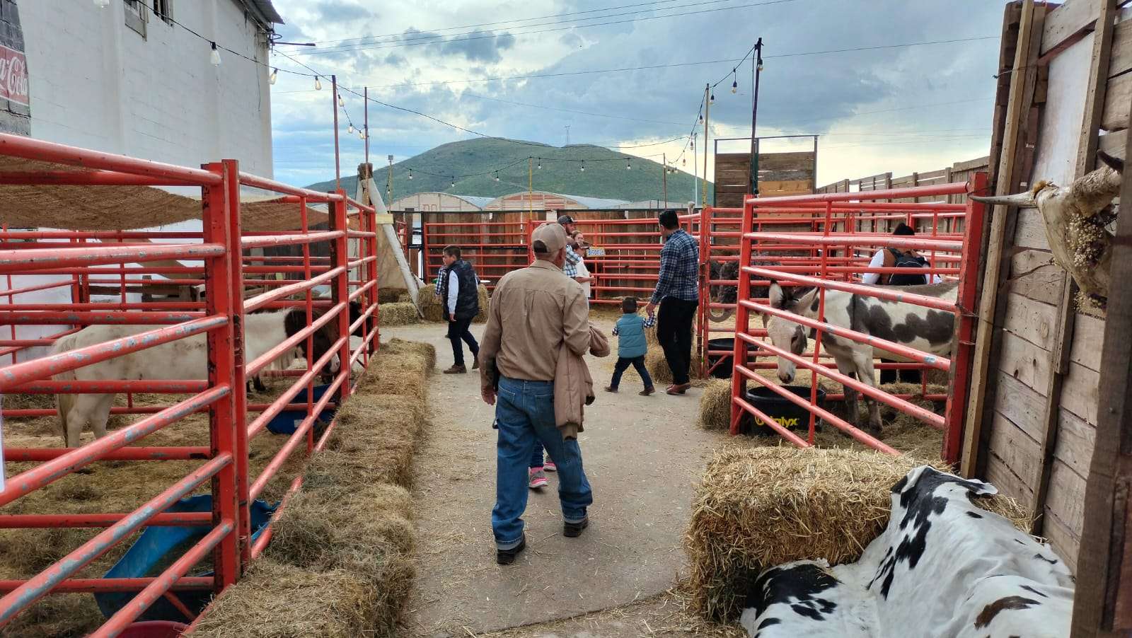 Protagonizan la exposición de EXPOGAN 2026, animales exóticos y ejemplares de diversas razas 