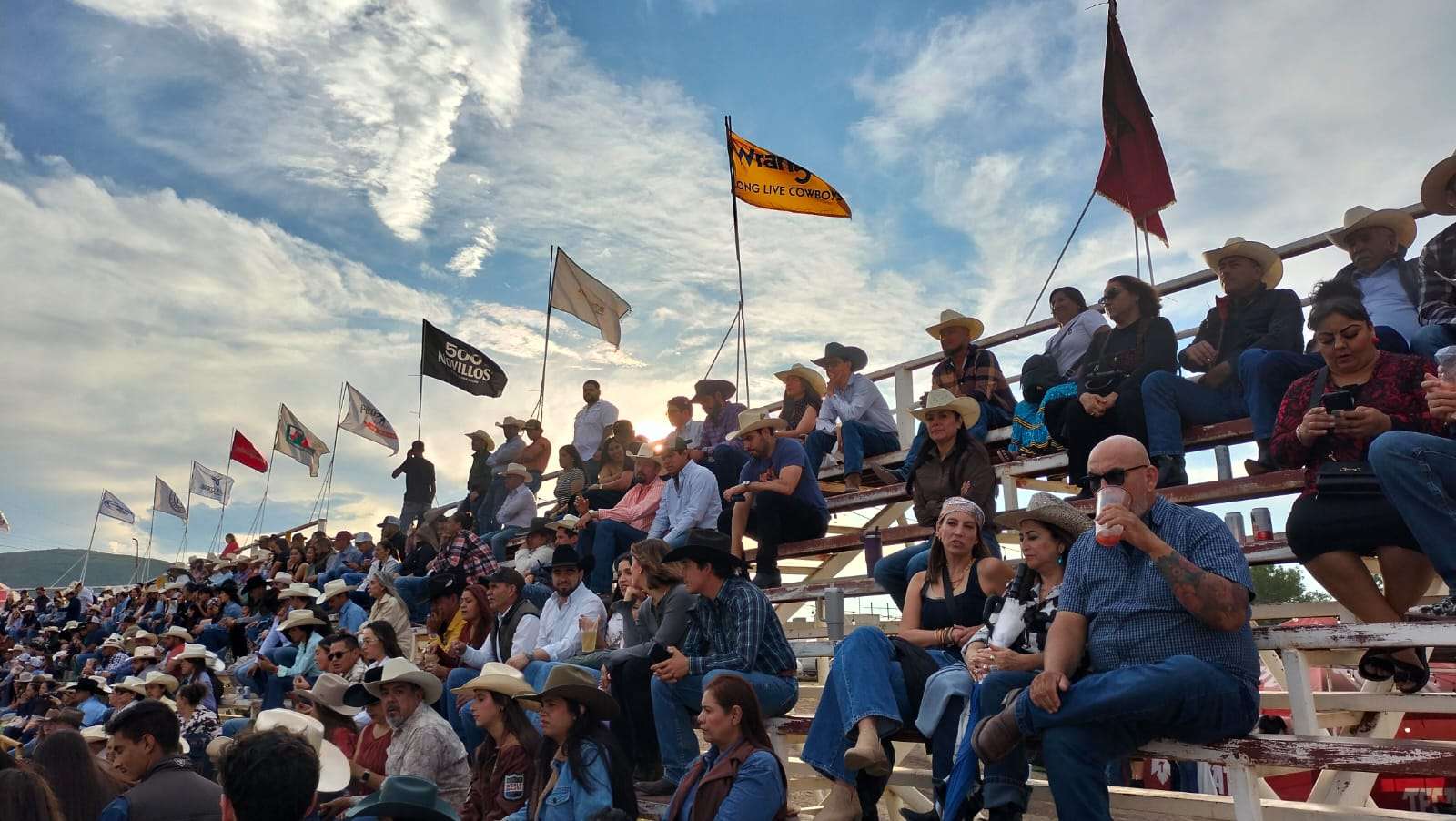 EXPOGAN 2026: tradición y diversión familiar