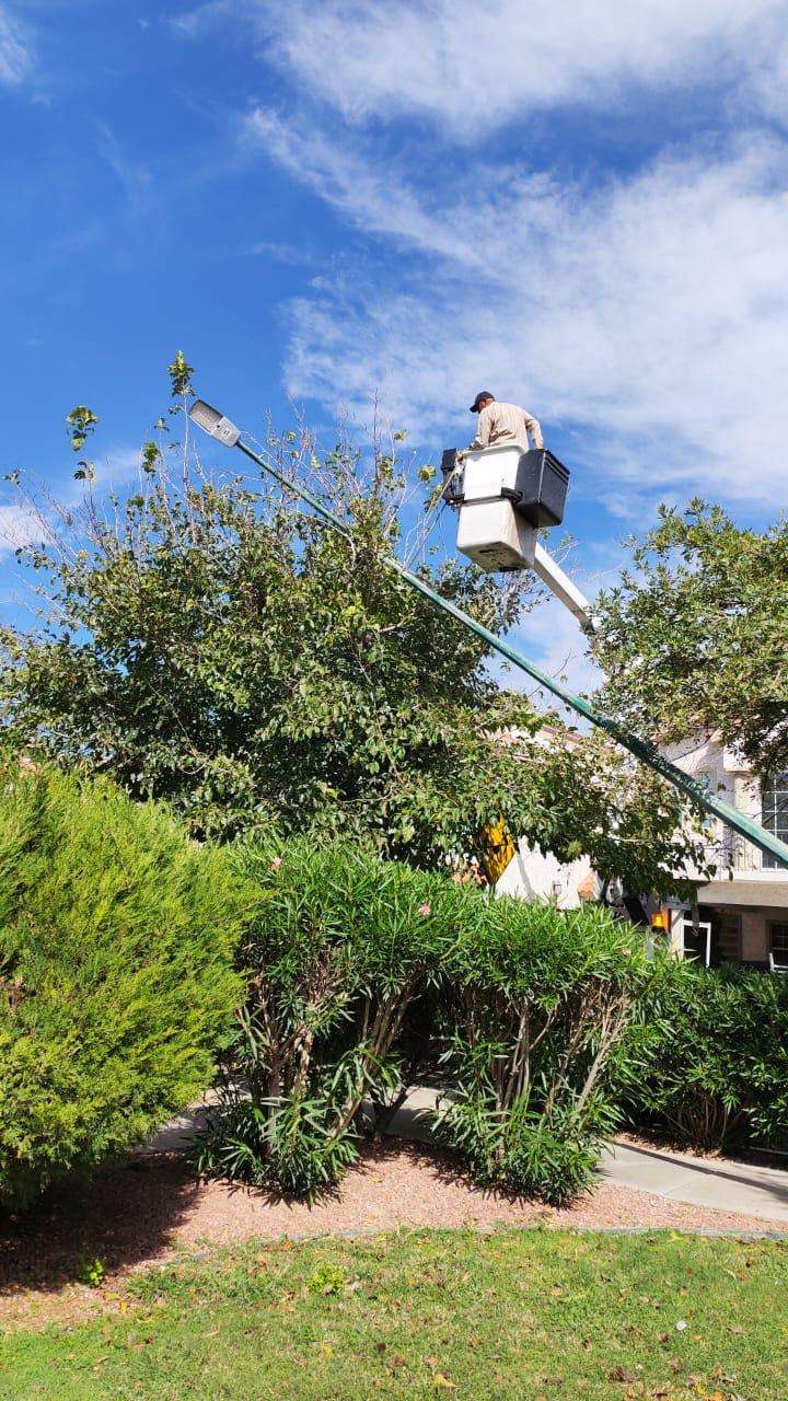 Reparan luminarias y retiran tierra de arrastre tras lluvias