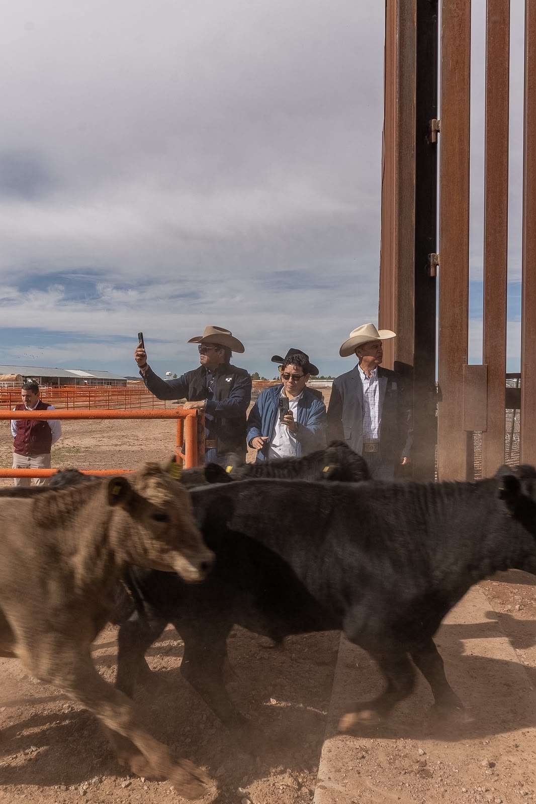 Reabre Chihuahua segundo puerto de exportación de ganado