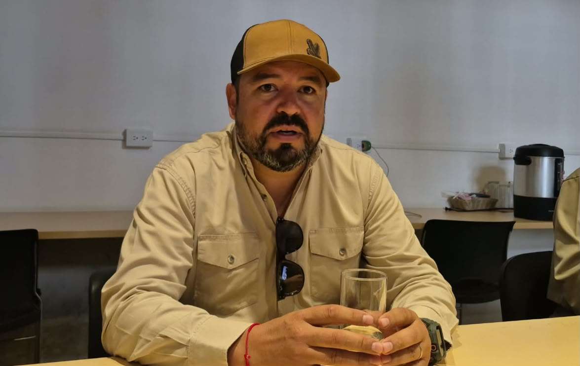 Refuerzan vigilancia contra el gusano descortezador en la Sierra