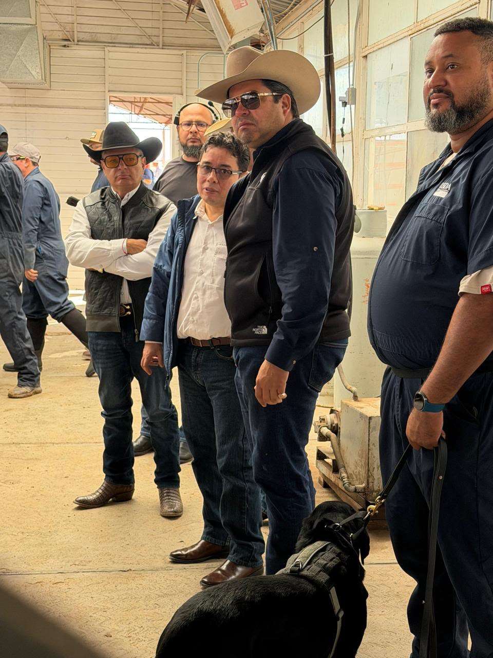 Reabre Chihuahua segundo puerto de exportación de ganado