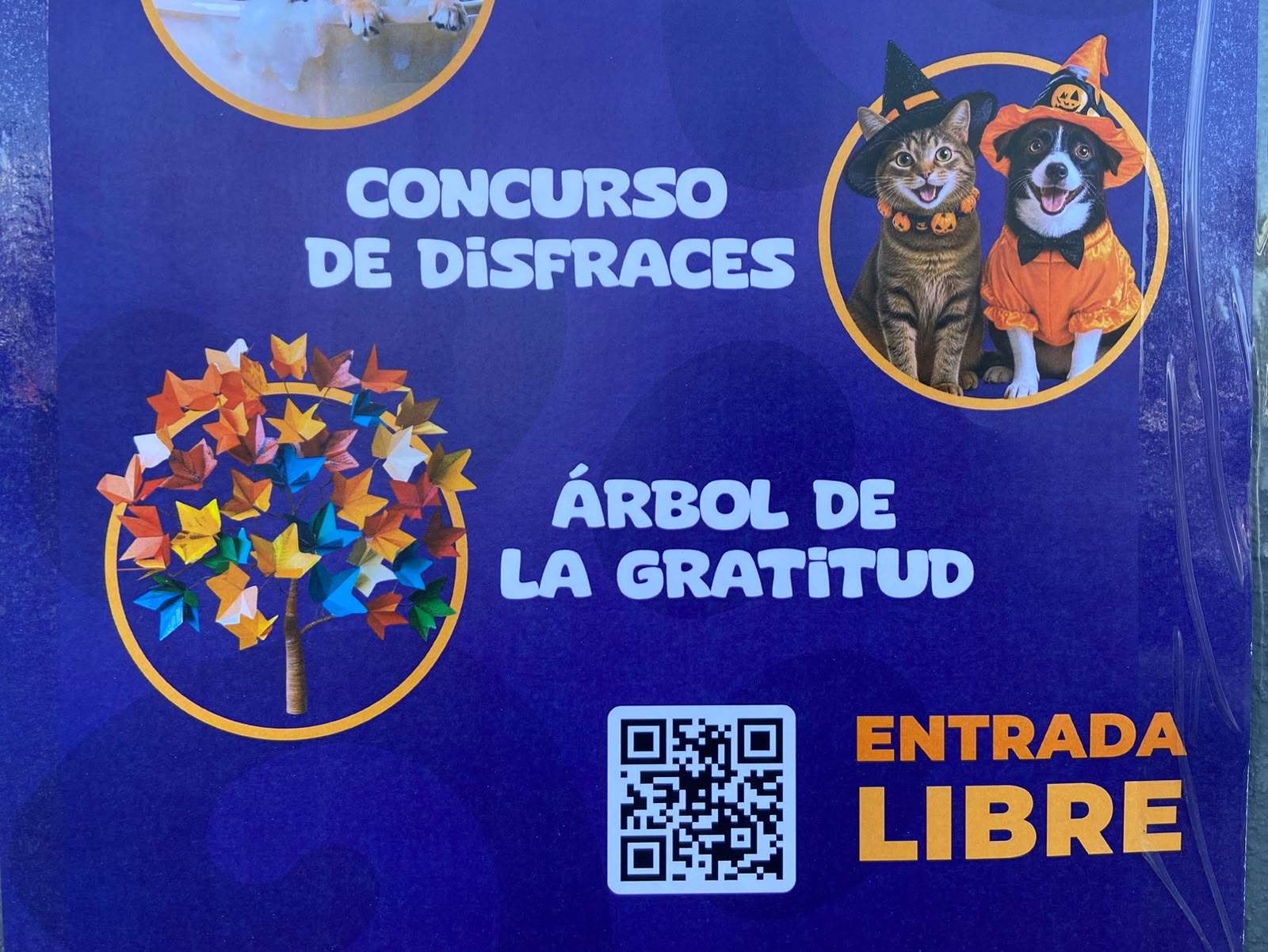 Invitan al PetFest en el Reliz