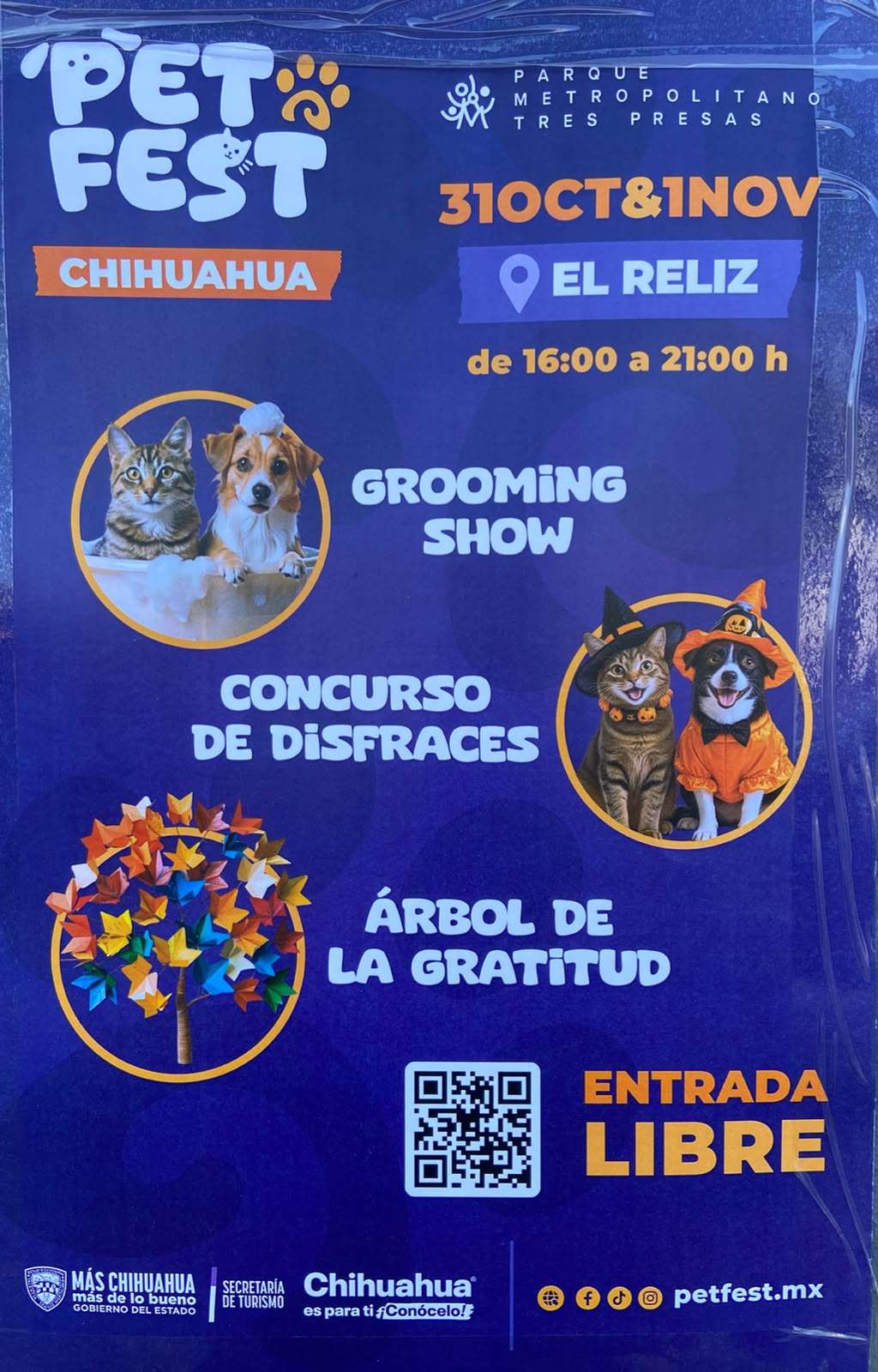 Invitan al PetFest en el Reliz